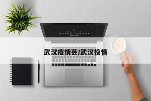 武汉疫情芸/武汉役情