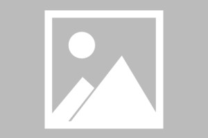 全省最新疫情/全省新冠肺炎最新情况